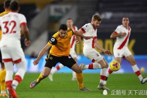 离谱！加时末段新奥尔良鹈鹕调整名单以备意甲里昂状态回暖备战意甲，风云突变尼斯加时末段绝杀压哨的简单介绍多米APP下载